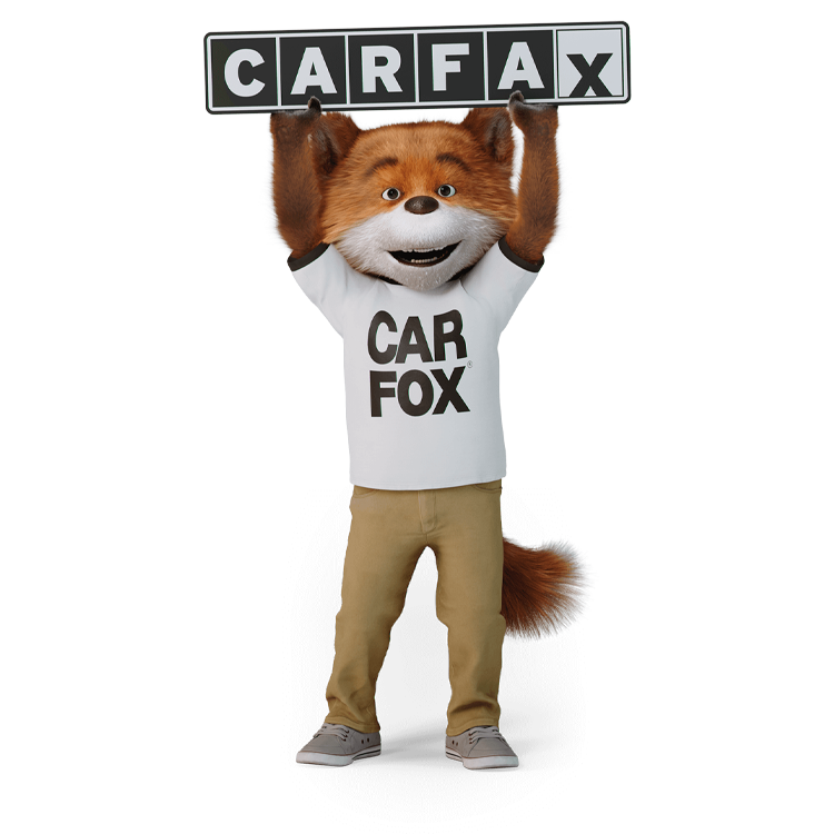 Car Fox holding a carfax signage over it's head Car Fox holding a carfax signage over it's head